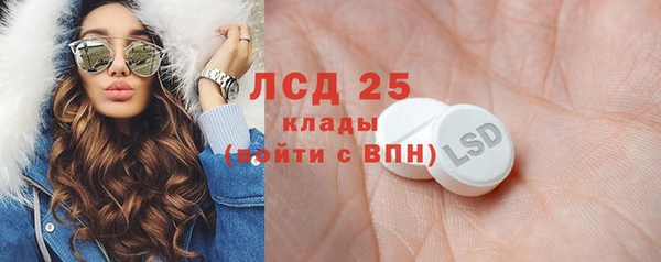 индика Гусь-Хрустальный