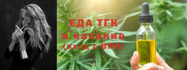 индика Гусь-Хрустальный