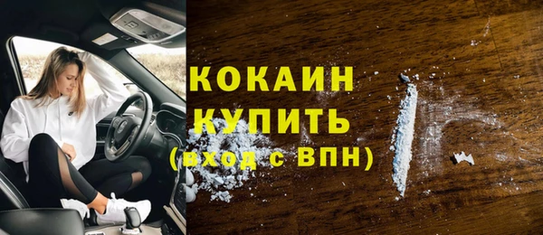 молекула духа Гусев