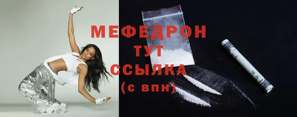 индика Гусь-Хрустальный