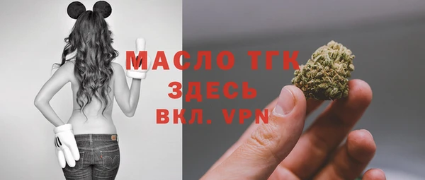 молекула духа Гусев