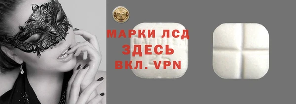 индика Гусь-Хрустальный