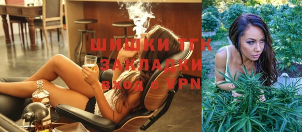 прущий лед Дмитриев