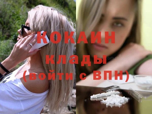 прущий лед Дмитриев