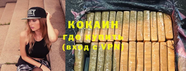 прущий лед Дмитриев