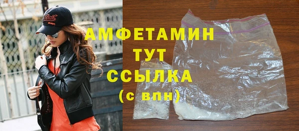 индика Гусь-Хрустальный