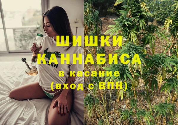 индика Гусь-Хрустальный