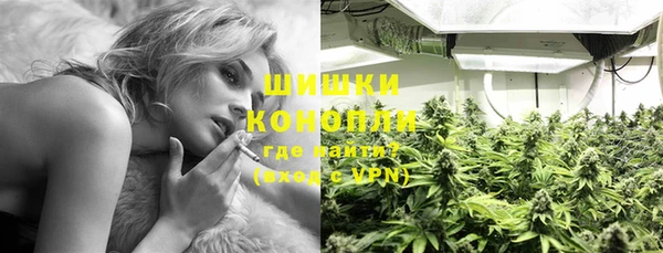 молекула духа Гусев