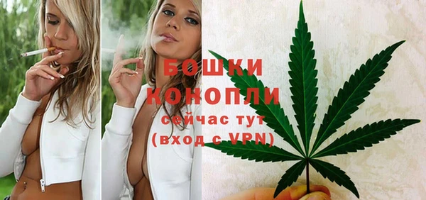 молекула духа Гусев