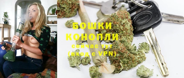 дурь Гусиноозёрск