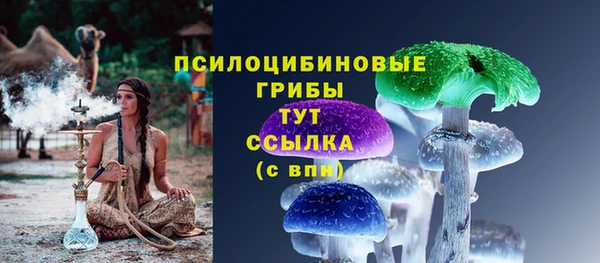 индика Гусь-Хрустальный