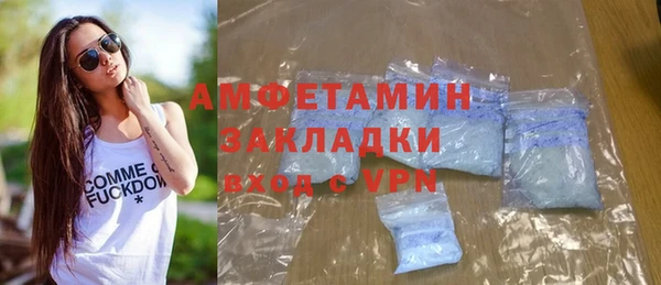 индика Гусь-Хрустальный