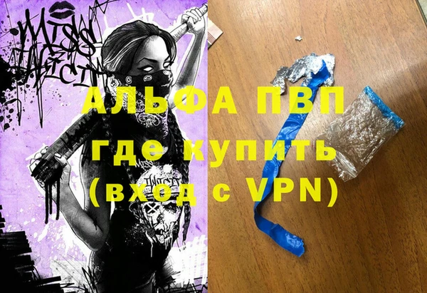 индика Гусь-Хрустальный