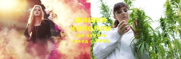 прущий лед Дмитриев